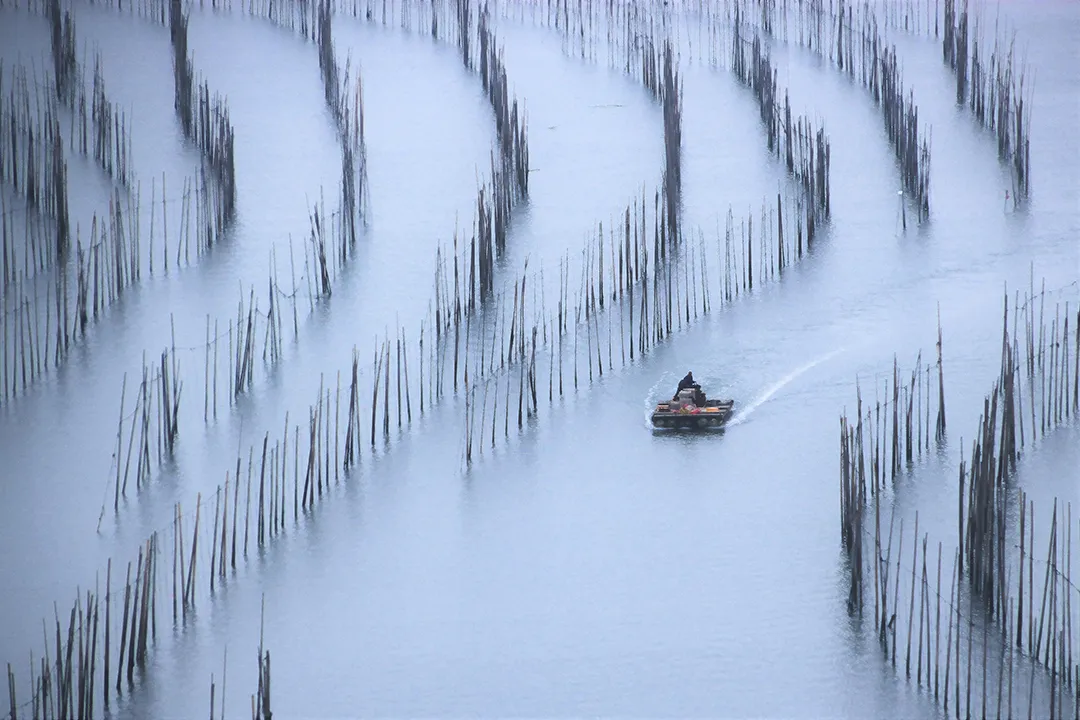 冬至|建始也，冬來也|
